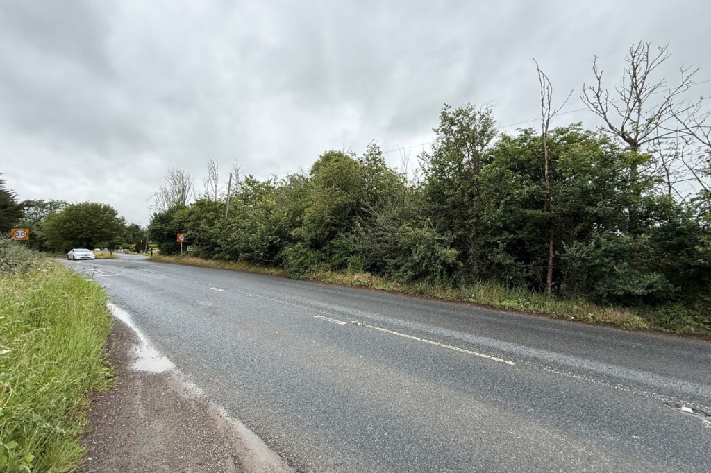 Lot: 88 - LAND WITH POTENTIAL - Road side view of the land